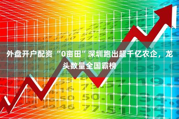 外盘开户配资 “0亩田”深圳跑出超千亿农企，龙头数量全国霸榜